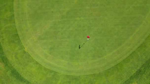 Smuk Grøn Golfbane Sommeren – Stock-video