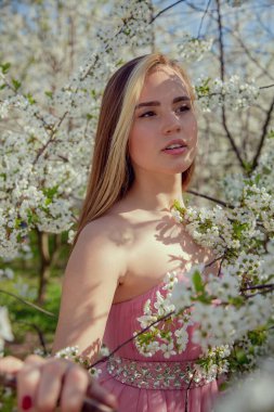 Çiçek açan bir bahçede güzel bir gece elbisesi giymiş Asyalı bir kızın portresi. Çiçek açan ağaçlar, Japon Hanami Sakura Festivali seyahat, mevsimlik.