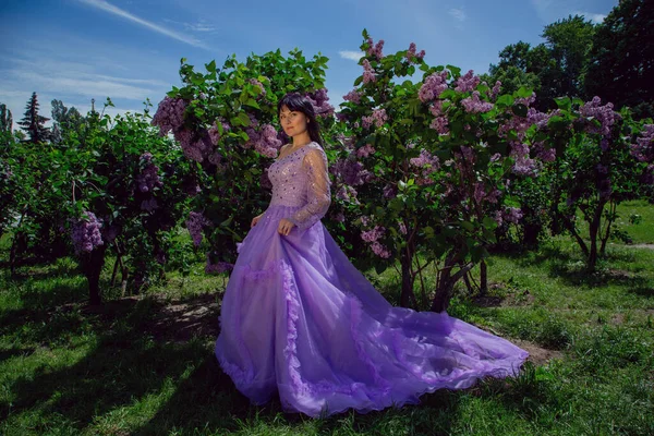 若いですブルネット女性で美しいドレスで庭で咲く紫色の茂み ストック写真