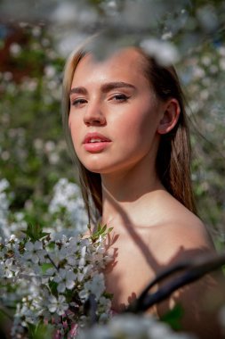 Çiçek açan bir bahçede güzel bir gece elbisesi giymiş Asyalı bir kızın portresi. Çiçek açan ağaçlar, Japon Hanami Sakura Festivali seyahat, mevsimlik.