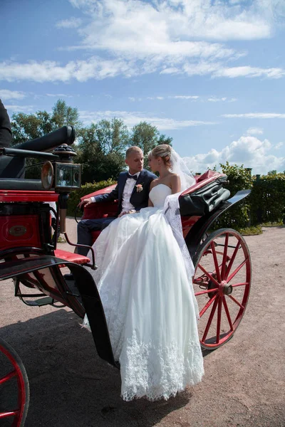 stock image A newlywed couple in love kisses in the park. Summer wedding.