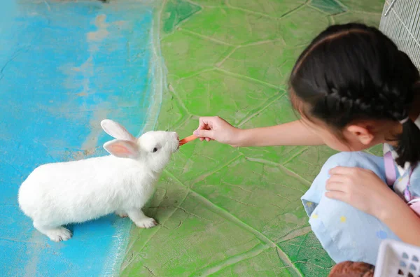 Asiático Menina Criança Alimentando Coelho Animal Zoológico — Fotografia de Stock