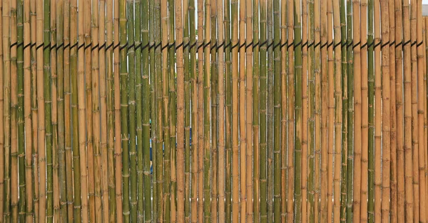 Бамбуковий Фон Настінного Паркану Саду — стокове фото
