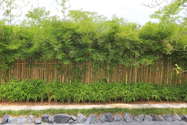 园中的竹墙篱笆背景 — 图库照片