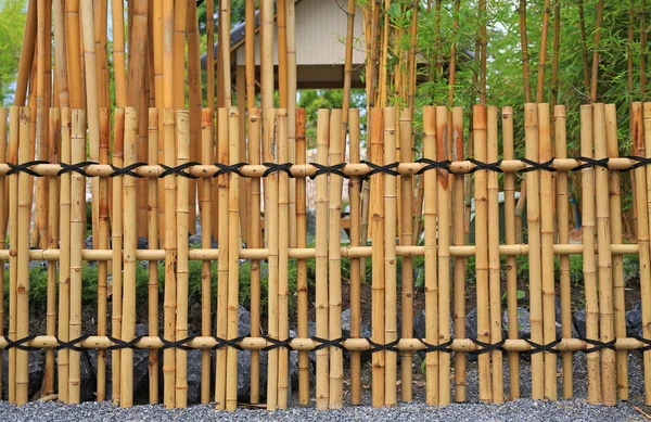 Bambusová Zeď Plot Pozadí Zahradě — Stock fotografie
