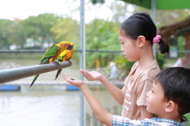 Asyalı çocuklar hayvanat bahçesinde papağan kuşu besliyor..