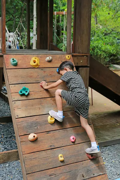 アジアの小さな男の子の年齢約5 6歳は 遊び場で木製のボードクライミングをしようとしています ストック写真