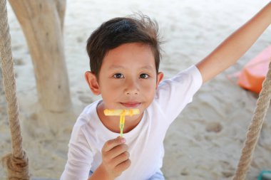 Asyalı küçük çocuğun sahilde salıncakta sallanırken patates kızartması ve sos peyniri yemesi..