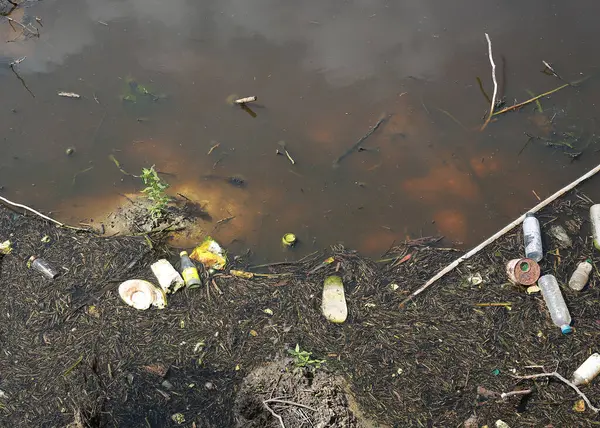 stock image Pond with garbage, environmental problems. There are a lot of waste  in the water, the plants are rotting.