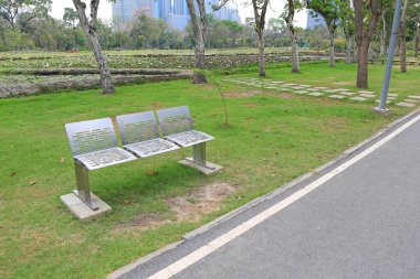 Halk parkında kurumuş yaprakları olan modern paslanmaz sandalyeler..