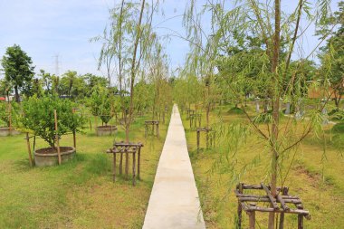 View of traditional Japanese garden with walk pathway.
