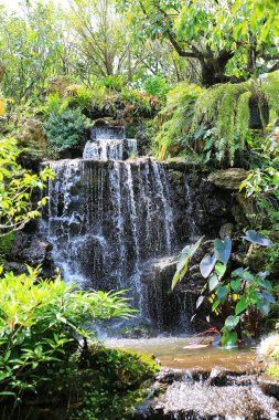 Kamu bahçesinde küçük dekoratif şelale.