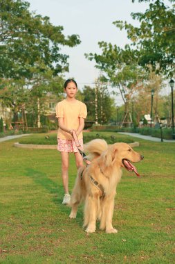 Golden Retriever ve Asyalı kızın portresi bahçede çimlerin üzerinde yatıyordu. Evcil hayvana odaklan.