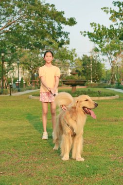 Golden Retriever ve Asyalı kızın portresi bahçede çimlerin üzerinde yatıyordu. Evcil hayvana odaklan.