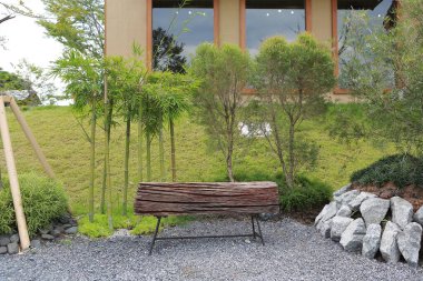 Bahçedeki ağaç gövdesinden yapılmış eski ahşap bir bank..