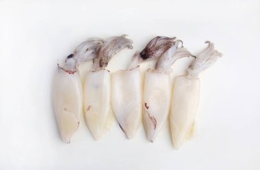 Beyaz stüdyo arka planında taze mürekkep balığı var..