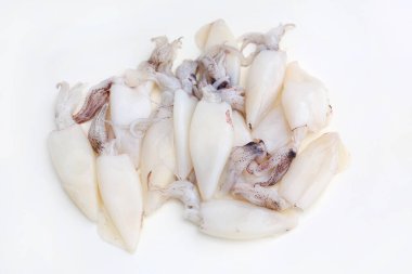 Beyaz stüdyo arka planında izole edilmiş taze mürekkep balıkları.