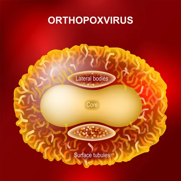 수두를 일으키는 바이러스 Orthopoxvirus 분석붉은 바탕에 포스터 — 스톡 벡터