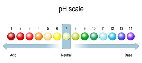 Phスケール 酸とアルカリ溶液のPh値のグラフです 酸ベースのバランス インフォグラフィックベクトル図 — ストックベクタ
