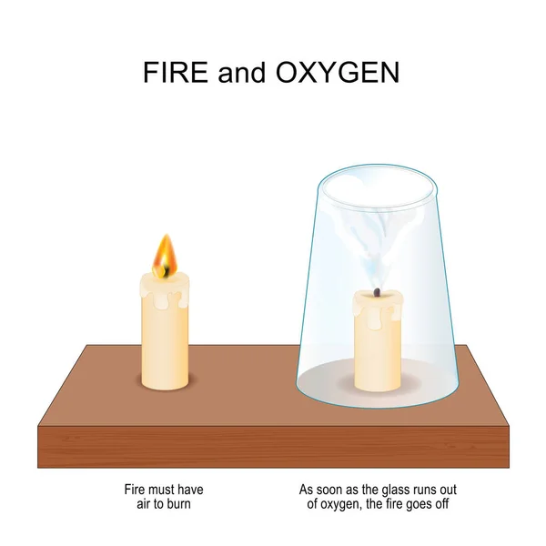 火和氧气 用两支蜡烛和玻璃杯进行科学实验 燃烧和燃烧 蜡烛的燃烧需要氧气 玻璃杯一耗尽氧气 火就熄灭了 供儿童教育用的病媒海报 — 图库矢量图片