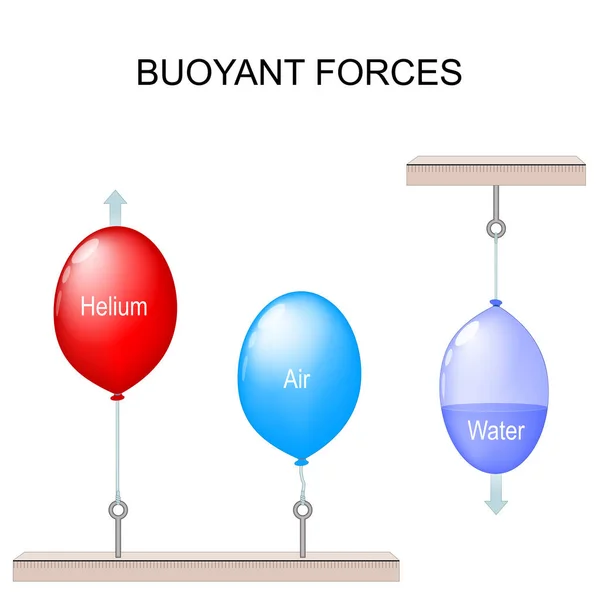 强大的力量 用气球进行科学实验 这些力量的作用是快乐的 一个红色气球与气体氦 两个蓝色气球与空气和水 供教育和科学使用的病媒海报 — 图库矢量图片