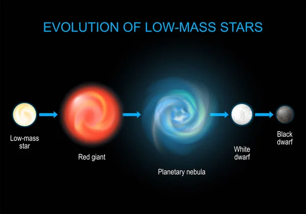 恒星進化 赤色巨星からの低星のライフサイクル 惑星状星雲から黒と白の矮星へ 天文学のインフォグラフィック図です — ストックベクタ