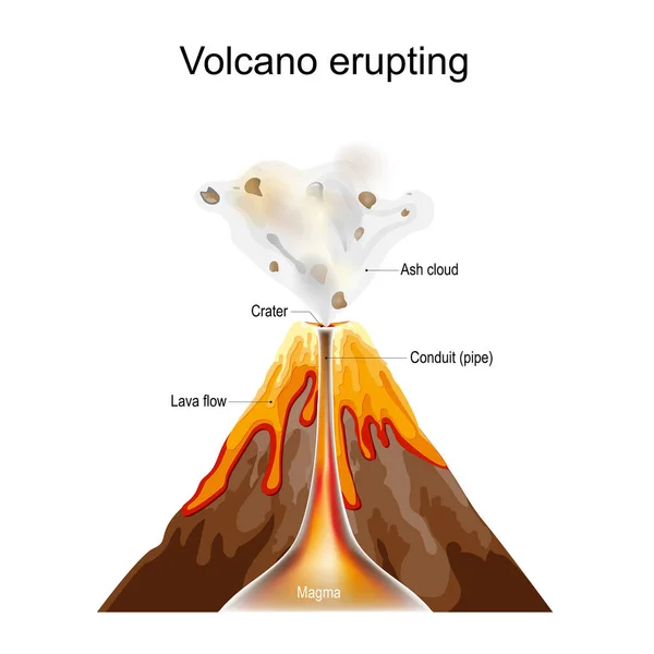 Vulkaanuitbarsting Doorsnede Van Vulkaan Met Krater Aswolk Lavastroom Magma Leiding — Stockvector