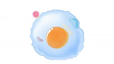 Virüsler yaşam döngüsü. Coronavirus, Grip, Grip ve Grip, Animasyon