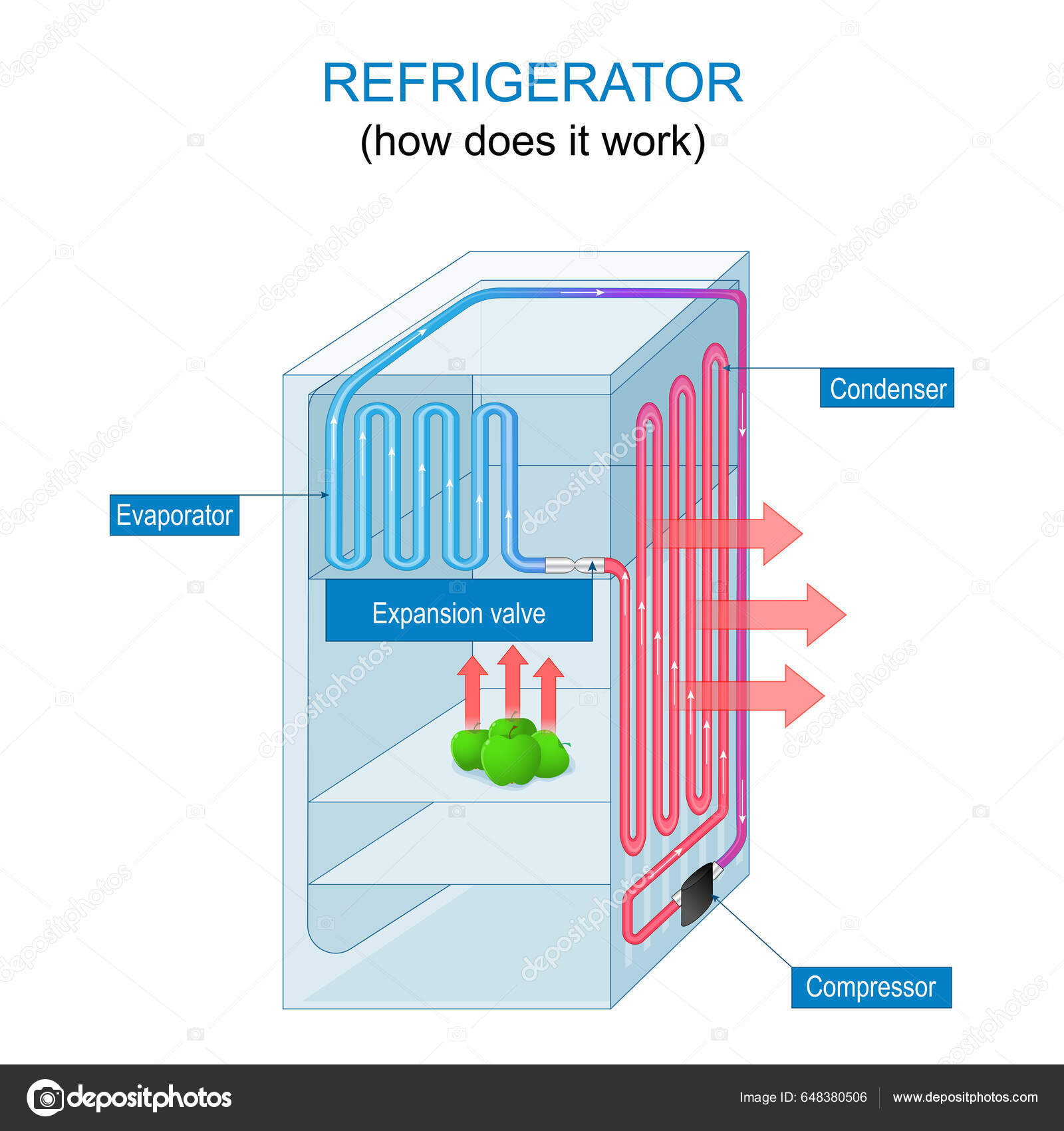 Principe Fonctionnement Réfrigérateur Comment Fonctionne Réfrigérateur  Construction Fonctionnement D'un Congélateur Vecteur par ©edesignua  648380506