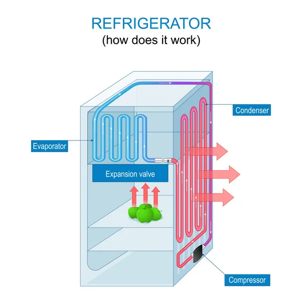 냉동기는 원리적으로 냉장고는 어떻게 작동하죠 청동리와 청동리의 공관이다 교육용 포스터 — 스톡 벡터