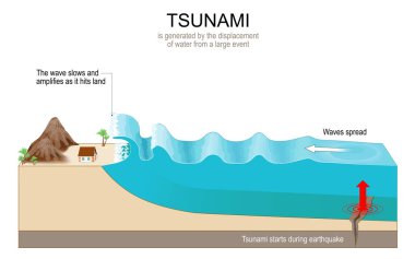 Tsunami, denizaltı depremlerinin neden olduğu bir dizi dev dalgadır. Dalgalar su yüzeyinde ses altı hızda hareket eder. Vektör diyagramı. eğitim için poster 