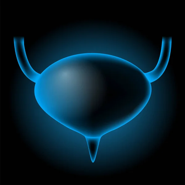 Blue Realistic Bladder Bladder Glowing Effect Dark Background Human Urinary — Stock Vector