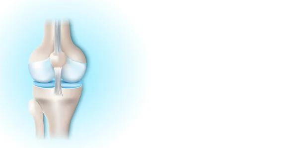 Articulation Genou Avec Cartilage Sain Sur Fond Bleu Blanc Avec — Image vectorielle