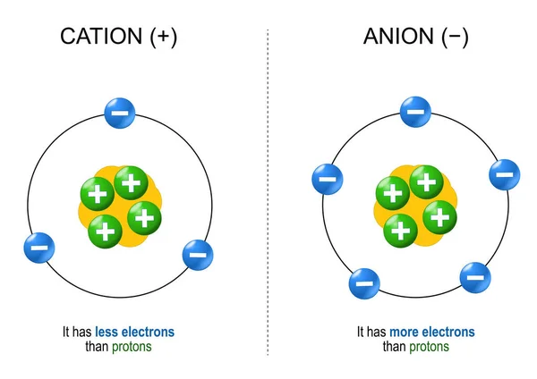陰イオンと陽イオン イオンの構造 例と違い アニオンは陽子よりも多くの電子を持っている カチオンは陽子よりも電子が少ない ベクターイラスト — ストックベクタ