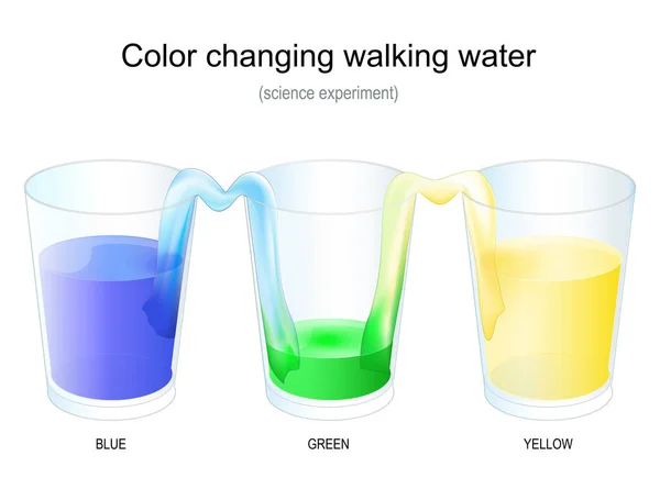 颜色改变步行水 用三只眼镜进行科学实验 病媒海报 给孩子们的魔法和科学 — 图库矢量图片