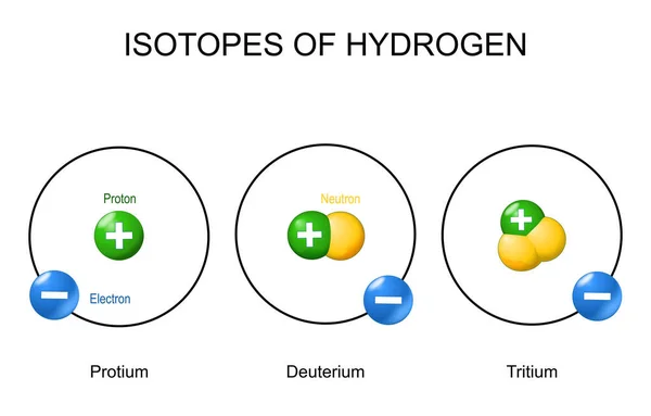 水素原子と同位体 トリチウム 重水素 プロテイウム モデルはボーア 1つの電子を持つ原子の構造と 陽子と中性子で構成される原子核 それぞれの同位体は1つの陽子だけで構成され 中性子の数は異なっていた ベクター — ストックベクタ