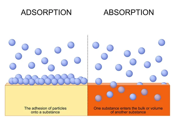 吸着と吸収の違い ある物質が別の物質の塊または体積に入る 物質への粒子の接着 ベクターイラスト — ストックベクタ