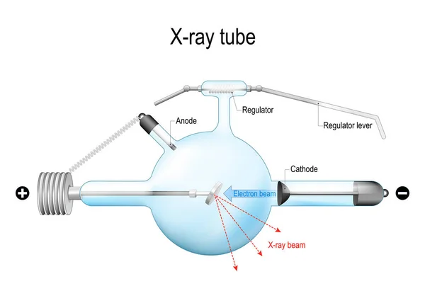 Crookes Tubo Rayos Diagrama Esquemático Estructural Tubo Rayos Utilizado Para — Archivo Imágenes Vectoriales