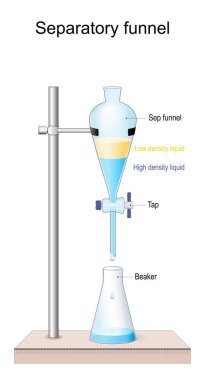 Separatory funnel. Structure of separating funnel. Beaker, Tap, Sep funnel, High density liquid and Low density liquid. laboratory glassware for separate or partition the components of a mixture into two immiscible solvent. Vector illustration clipart