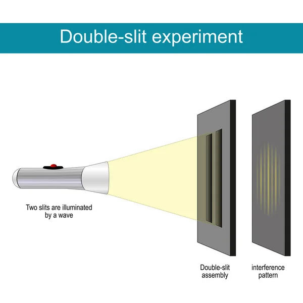 Double Slit Experiment Diffraction Light Waves Particles Theory Quantum Mechanics — Stock Vector