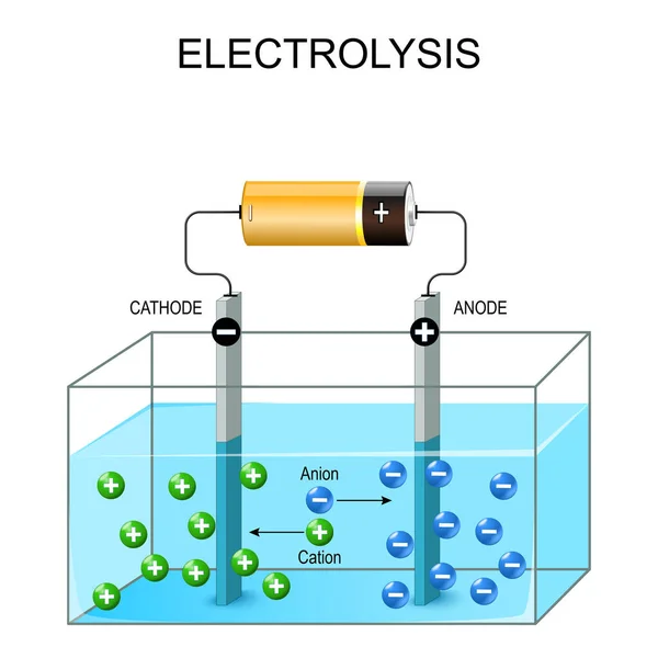 Процес Електролізу Гальванічний Елемент Клітин Експериментуйте Електролітом Приклад Вектора — стоковий вектор