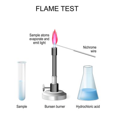 Alev testi. Analitik kimyada, alev emisyon spektrumunun rengine göre metal iyonlarının varlığını saptamak için prosedür. Bunsen brülörü, Nichrome kablosu, numune ve hidroklorik asitli matara deneyin. Vektör illüstrasyonu