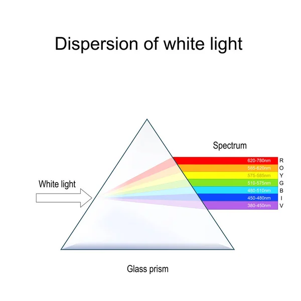白色光の分散 透明な光学ガラスプリズムとホワイトライトビームを用いた実験 赤外線から紫外線 波長まで可視スペクトル ニュートンのプリズム実験 光学物理学 ベクターイラスト — ストックベクタ