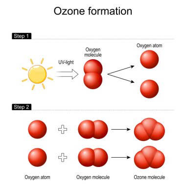 Dünya atmosferinde Ozon oluşumu. Güneş ultraviyole radyasyonu oksijen molekülünü iki ayrı atoma ayırır. Her atomu molekül oksijenle birleştirip ozon molekülü O3 'ü oluşturun. Vektör illüstrasyonu