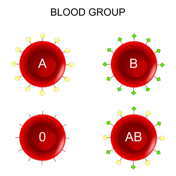 Röda Blodkroppar Typ Abo Blodgrupp Blodgivning Vektordiagram — Stock vektor