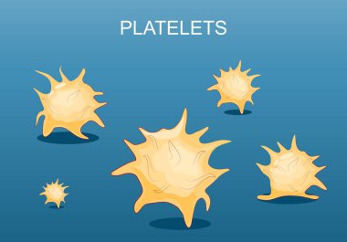 Platelets. Close-up of thrombocytes. Set icons. component of blood for coagulation. Isometric flat vector Illustration clipart