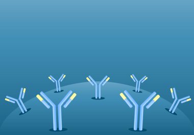 Antibody. Immunoglobulin IgE or IgG. Humoral immunity. Each antibody binds to a specific antigen. Isometric flat vector Illustration clipart