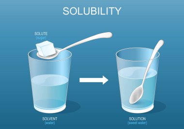 Solubility. Solutions. Experiment with sugar and glass of water. Making a mixture of sweet water solution. Chemistry. Homogeneous mixture. Vector poster. Isometric Flat  illustration clipart