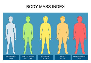 Vücut Kütle İndeksi. BMI hesaplaması. Boyu ve kilosu. Vektör posteri. Isometric Düz Çizim. Şematik diyagram