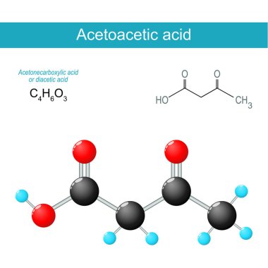 Asetoasetik asit molekülü. Moleküler kimyasal yapısal formül ve diasetik asit modeli. İskelet formülü ve asetonkarboksilik asidin top ve sopa modeli. Vektör çizimi. Tıbbi poster. Şematik diyagram